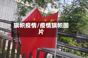 旗帜疫情/疫情旗帜图片