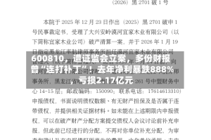 600810，遭证监会立案，多份财报曾“连打补丁”！去年净利暴跌888%，亏损2.17亿元