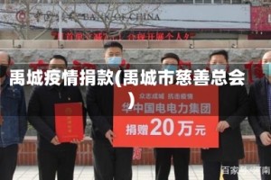禹城疫情捐款(禹城市慈善总会)