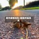 夏天疫情消失/疫情开始消失