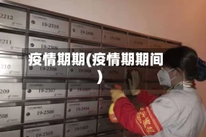 疫情期期(疫情期期间)