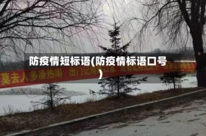 防疫情短标语(防疫情标语口号)