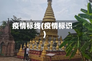 疫情标线(疫情标识)