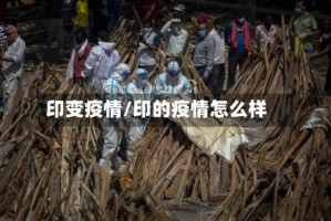 印变疫情/印的疫情怎么样