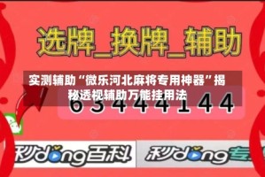 实测辅助“微乐河北麻将专用神器”揭秘透视辅助万能挂用法