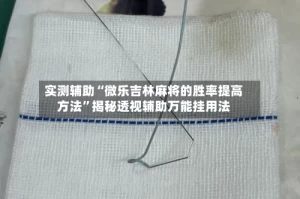 实测辅助“微乐吉林麻将的胜率提高方法”揭秘透视辅助万能挂用法
