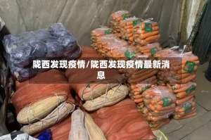 陇西发现疫情/陇西发现疫情最新消息