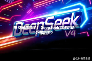 投资圈沸腾了！DeepSeek首次启动外部融资？