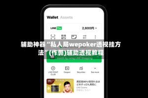 辅助神器“私人局wepoker透视挂方法”(作弊)辅助透视教程