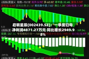 启明星辰(002439.SZ)：一季度归母净利润4871.27万元 同比增长2949.98%