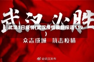 武汉1日疫情(武汉疫情最新报道119)