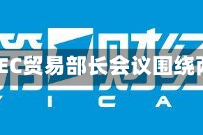 李成钢：积极推动APEC贸易部长会议围绕两方面议题达成共识