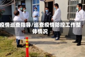 疫情巡查指导/巡查疫情防控工作整体情况