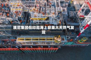 埃尼集团在印尼海上获重大天然气发现