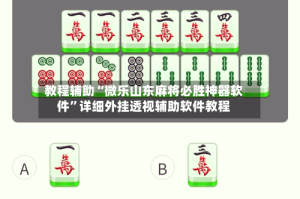 教程辅助“微乐山东麻将必胜神器软件”详细外挂透视辅助软件教程