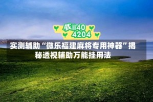 实测辅助“微乐福建麻将专用神器”揭秘透视辅助万能挂用法