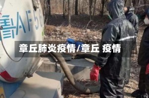 章丘肺炎疫情/章丘 疫情