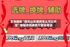 实测辅助“微乐山东麻将怎么可以开挂”揭秘透视辅助万能挂用法