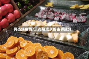 贝壳烧疫情/贝壳烧成灰的主要成分