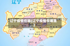 辽宁疫情在哪(辽宁疫情在哪里)