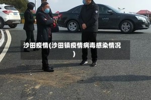 沙田疫情(沙田镇疫情病毒感染情况)