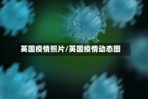 英国疫情照片/英国疫情动态图