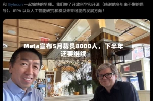Meta宣布5月裁员8000人，下半年还要继续