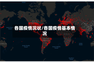 各国疫情况状/各国疫情基本情况