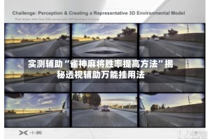 实测辅助“雀神麻将胜率提高方法”揭秘透视辅助万能挂用法