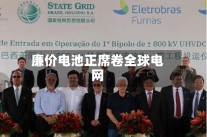 廉价电池正席卷全球电网