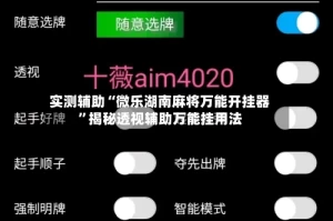实测辅助“微乐湖南麻将万能开挂器”揭秘透视辅助万能挂用法
