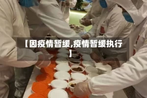 【因疫情暂缓,疫情暂缓执行】