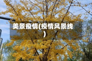 美景疫情(疫情风景线)