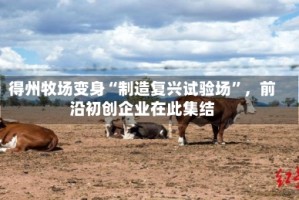 得州牧场变身“制造复兴试验场”，前沿初创企业在此集结