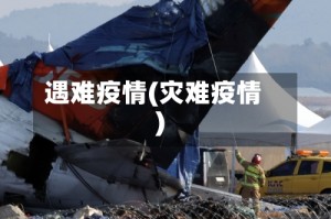遇难疫情(灾难疫情)