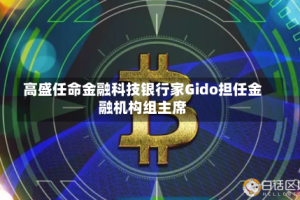 高盛任命金融科技银行家Gido担任金融机构组主席