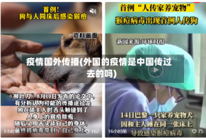 疫情国外传播(外国的疫情是中国传过去的吗)