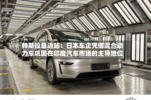 特斯拉靠边站：日本车企凭借混合动力车巩固在印度汽车市场的主导地位