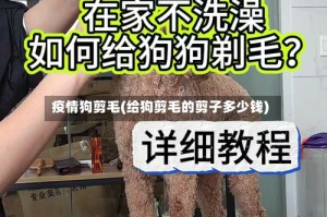 疫情狗剪毛(给狗剪毛的剪子多少钱)