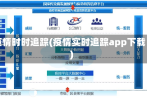 疫情时时追踪(疫情实时追踪app下载)