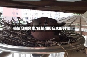 疫情期间窝家/疫情期间在家的时候