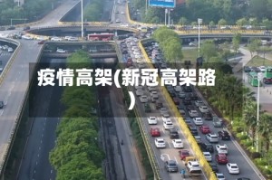 疫情高架(新冠高架路)