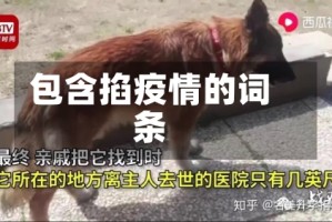 包含掐疫情的词条