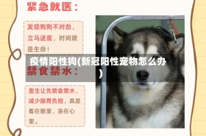 疫情阳性狗(新冠阳性宠物怎么办)