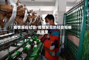 疫情反应社会/疫情反应的社会短板在哪里