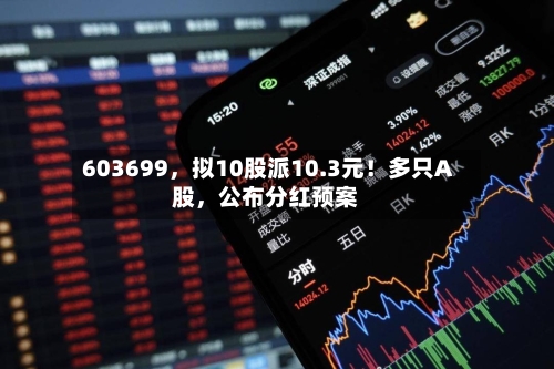 603699，拟10股派10.3元！多只A股，公布分红预案-第3张图片