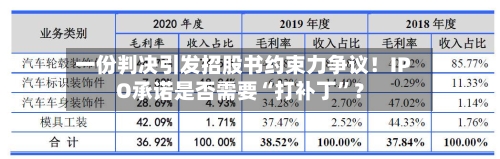 一份判决引发招股书约束力争议！IPO承诺是否需要“打补丁”？-第2张图片