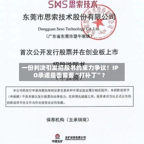 一份判决引发招股书约束力争议！IPO承诺是否需要“打补丁”？-第3张图片