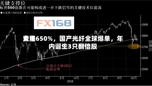 费用大涨650%，国产光纤全球爆单	，年内诞生3只翻倍股-第1张图片