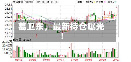 葛卫东，最新持仓曝光！-第1张图片